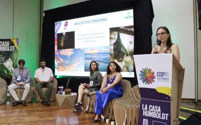 Brazilian partners of PLAN-B take neglected pollutants to COP 16 on Biodiversity, in Cali, Colombia