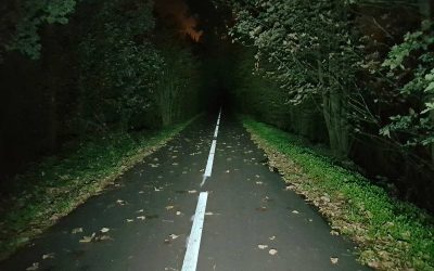 Belgian Council Blocks Additional Bike Path Lighting to Protect Wildlife