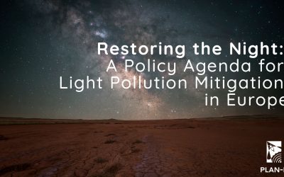 Restoring the Night: A Policy Agenda for Light Pollution Mitigation in Europe