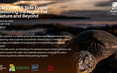 PLAN-B in the Convention on the Conservation of Migratory Species of Wild Animals (CMS)