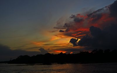 Mapping Brazil’s Nightscapes: New Artificial Light at Night Module Launched on MapBiomas Platform