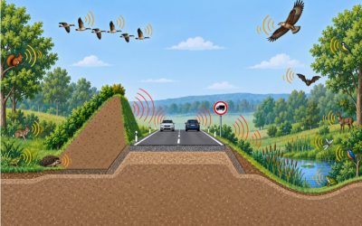 Listening to Wildlife: PLAN-B Presents Advances on Noise Pollution at Forum Acusticum 2026 (Graz)